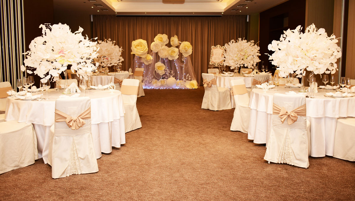 Terra (трансформер) — Отель Hilton Garden Inn Volgograd