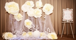 Terra (трансформер) — фото 4