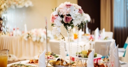 Terra (трансформер) — фото 5