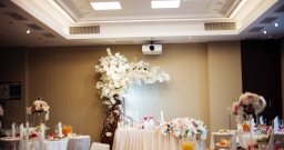 Terra (трансформер) — фото 6