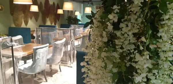 Lounge grill cafe