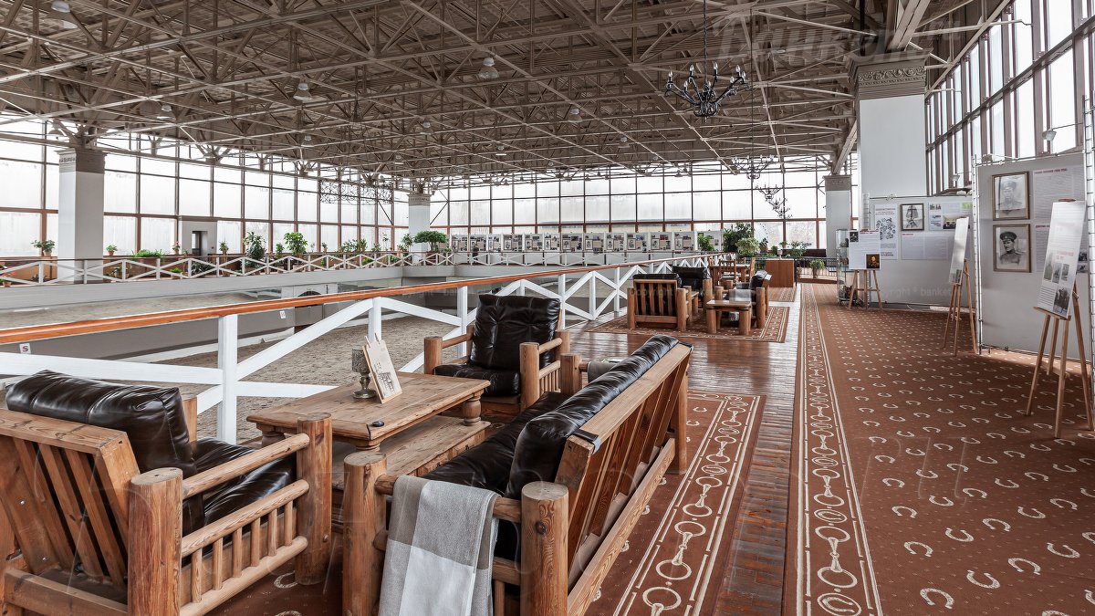 Балкон — Art and Horses