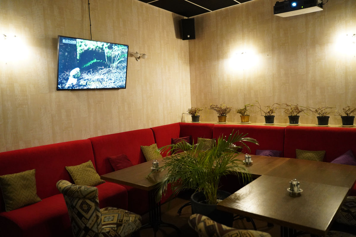 SMART караоке — фото 3