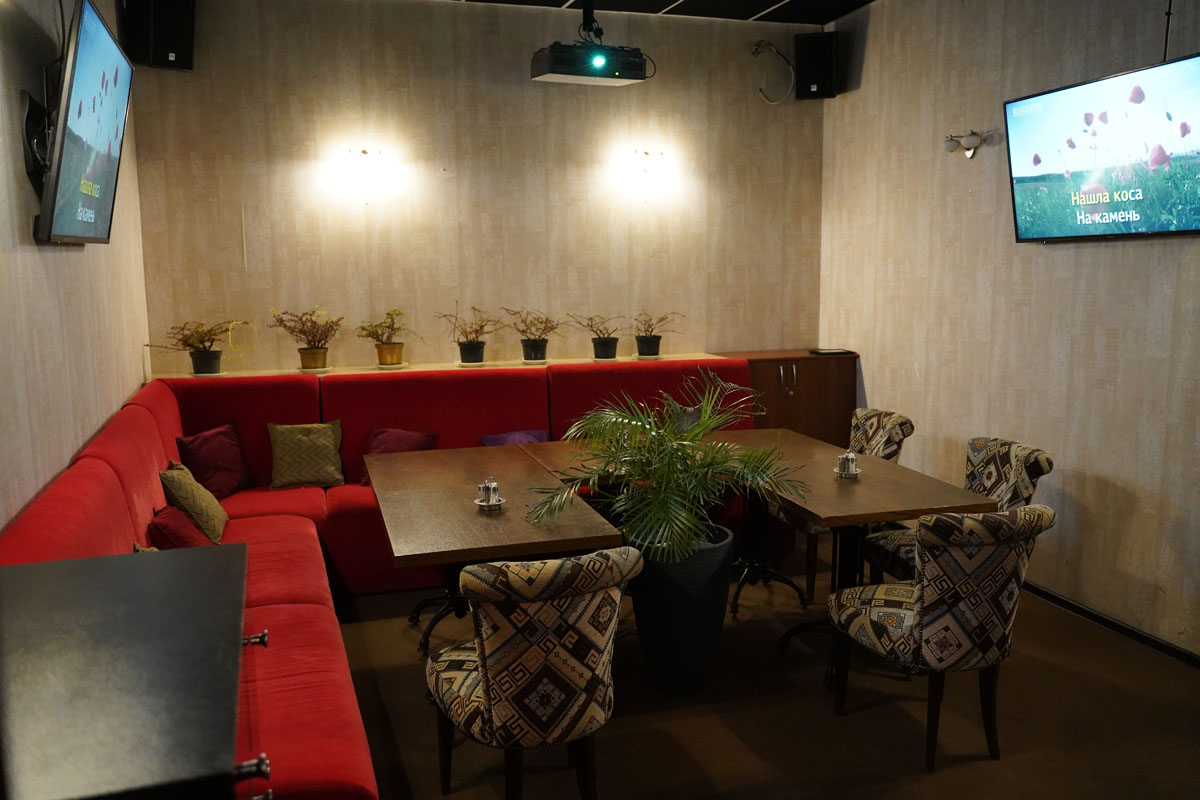 SMART караоке — фото 4