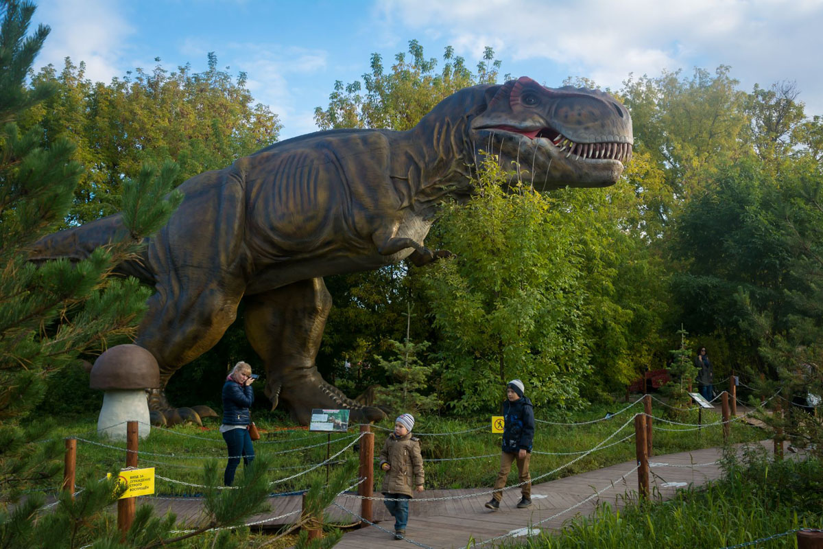 Территория Парка — фото 11