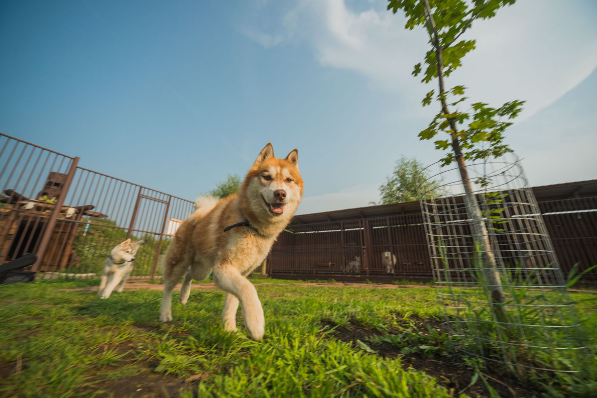 Территория Парка — фото 14