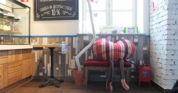 Общая зона — фото 4