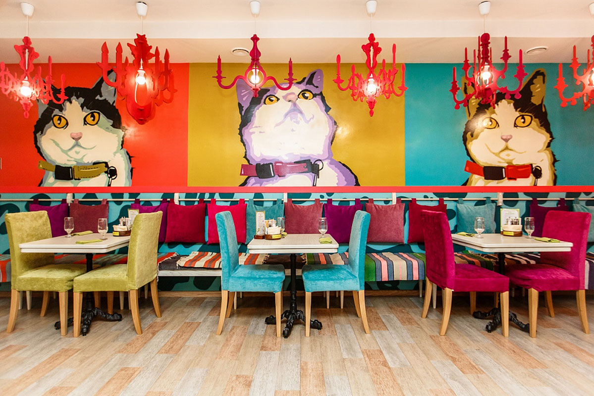 Зал Клубки — Семейное кафе АндерСон Медведково