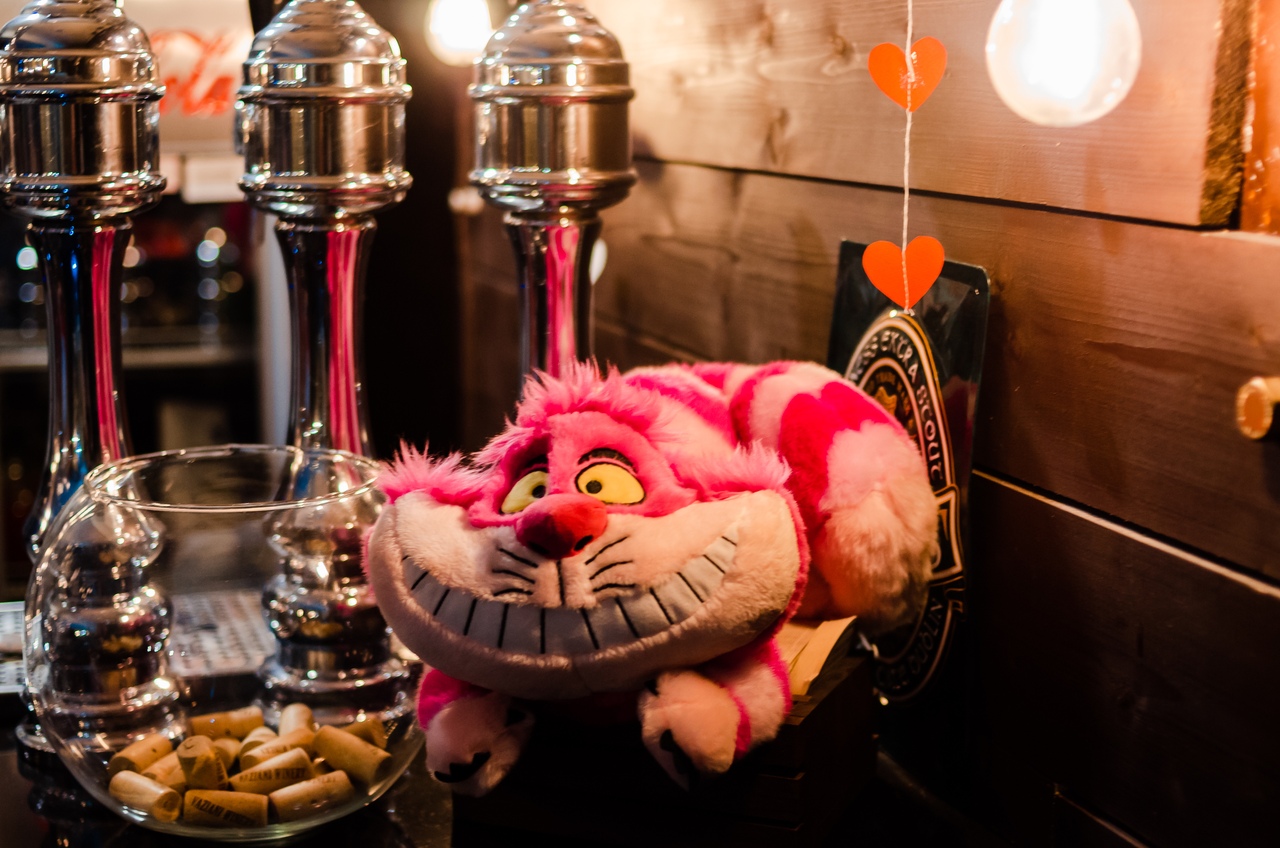 Основной зал — Бар Чеширский кот