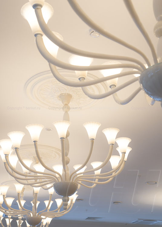 Интерьеры БК Ш.Ё.Л.К — фото 2