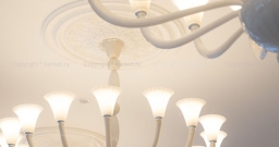 Интерьеры БК Ш.Ё.Л.К — интерьер зала