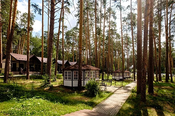 Загородный отель Гринвальд by USTA Hotels, Веранда Эдельвейс — фото