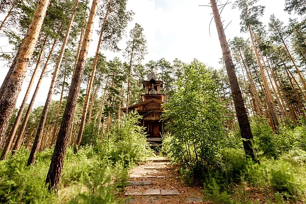 Загородный отель Гринвальд by USTA Hotels, Веранда Эдельвейс — фото