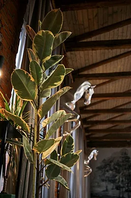 AG Loft, CHALET — фото
