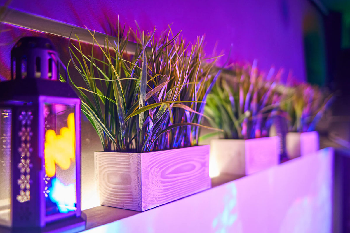 Шанти — фото 2