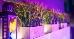 Шанти — интерьер зала