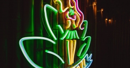 Гавайи — подробнее о зале