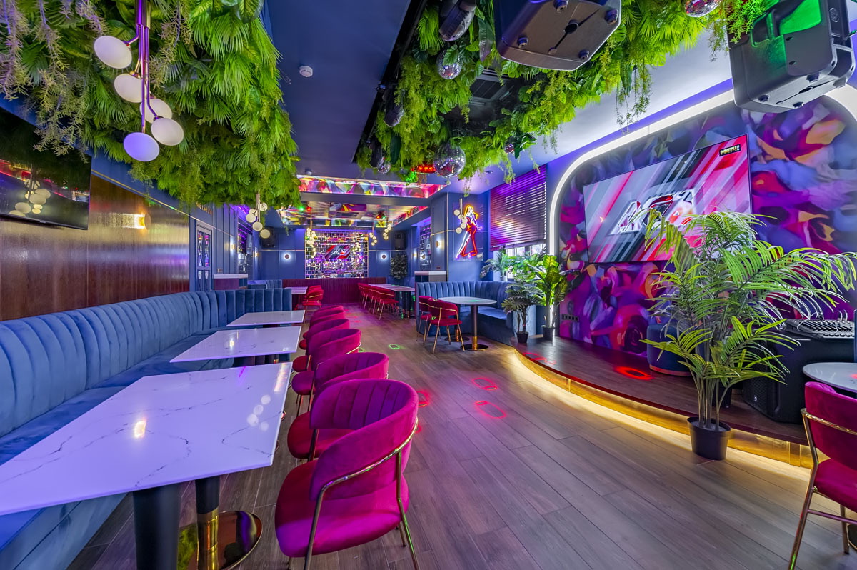 Зал Караоке — Бар Red Lion Pub