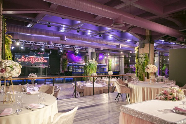 Логотип ANIMA