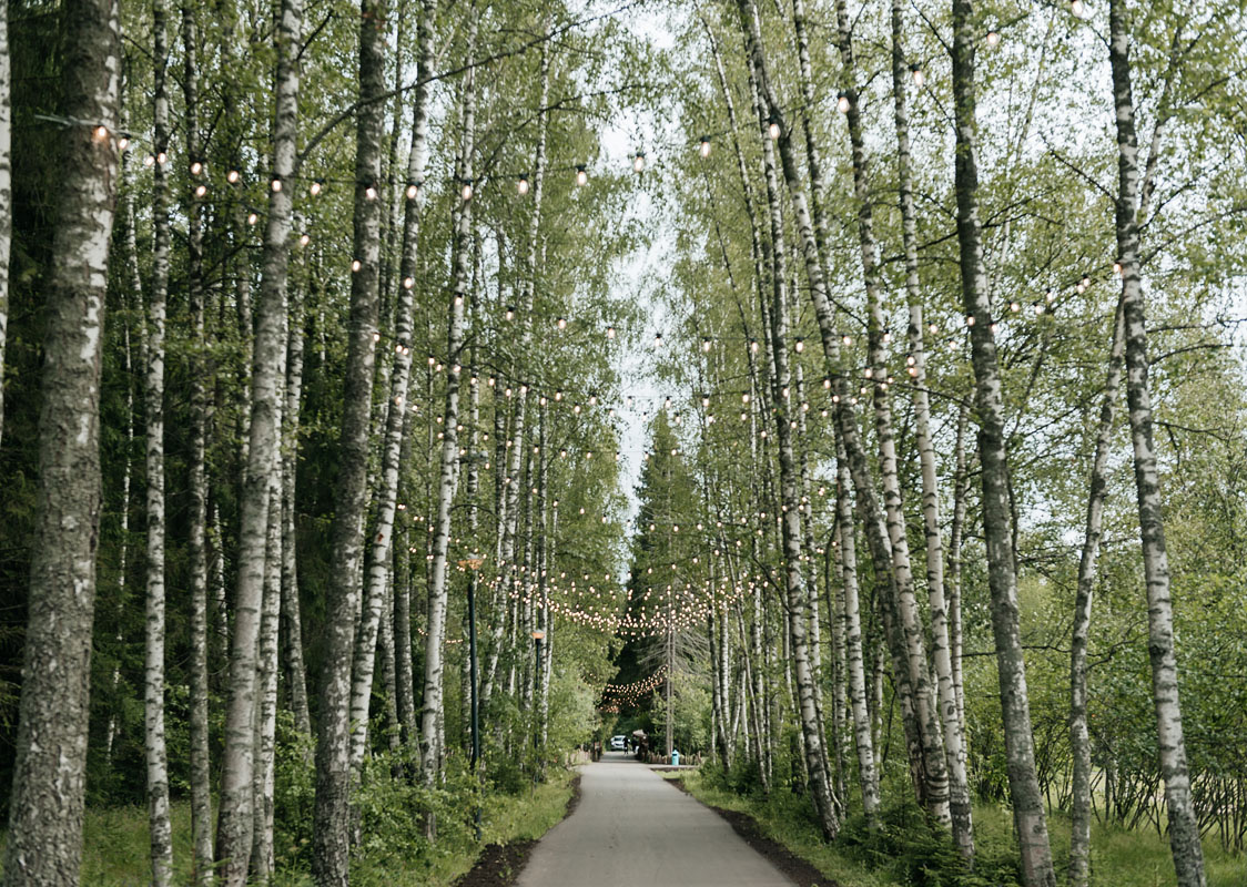 Mango House — THE BIRCH