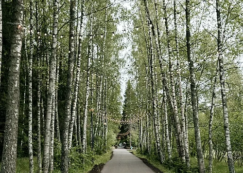 Mango House — THE BIRCH