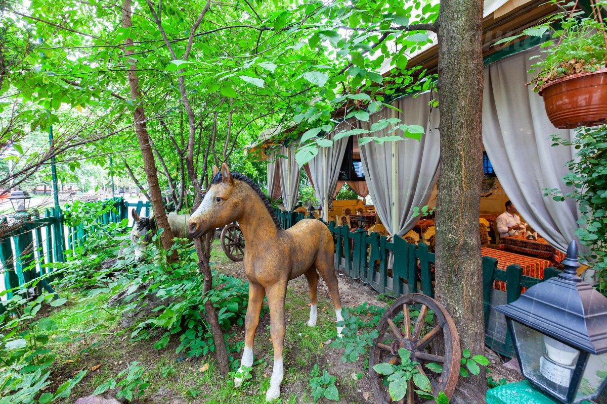 Веранда Веранда — фото 12