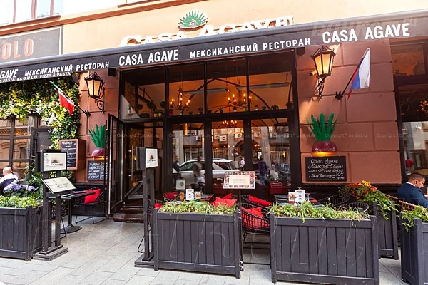 Casa Agave, Основной зал — фото