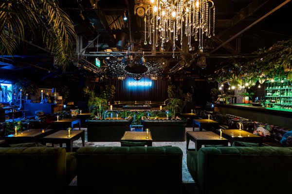 Логотип Monkey Club