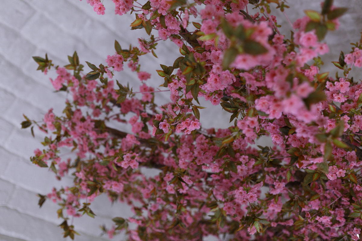 Зал Лестница — фото 14