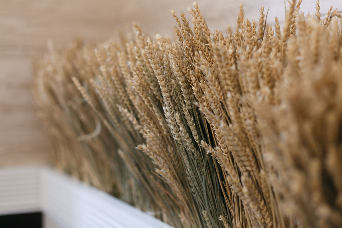 Зал Ривьера — фото 7