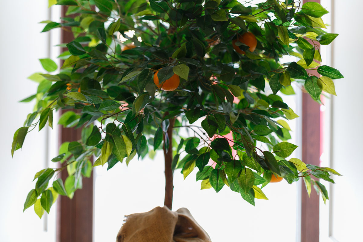 Зал Ривьера — фото 9