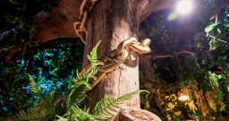 Ресторан Луокоморье — фото 5