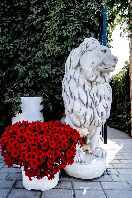 Веранда Premium Hall — фото 20