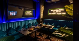 VIP-зал караоке №4 — подробнее о зале