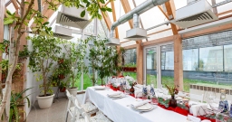 Оранжерея — фото 3