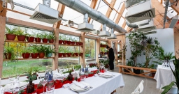 Оранжерея — фото 4