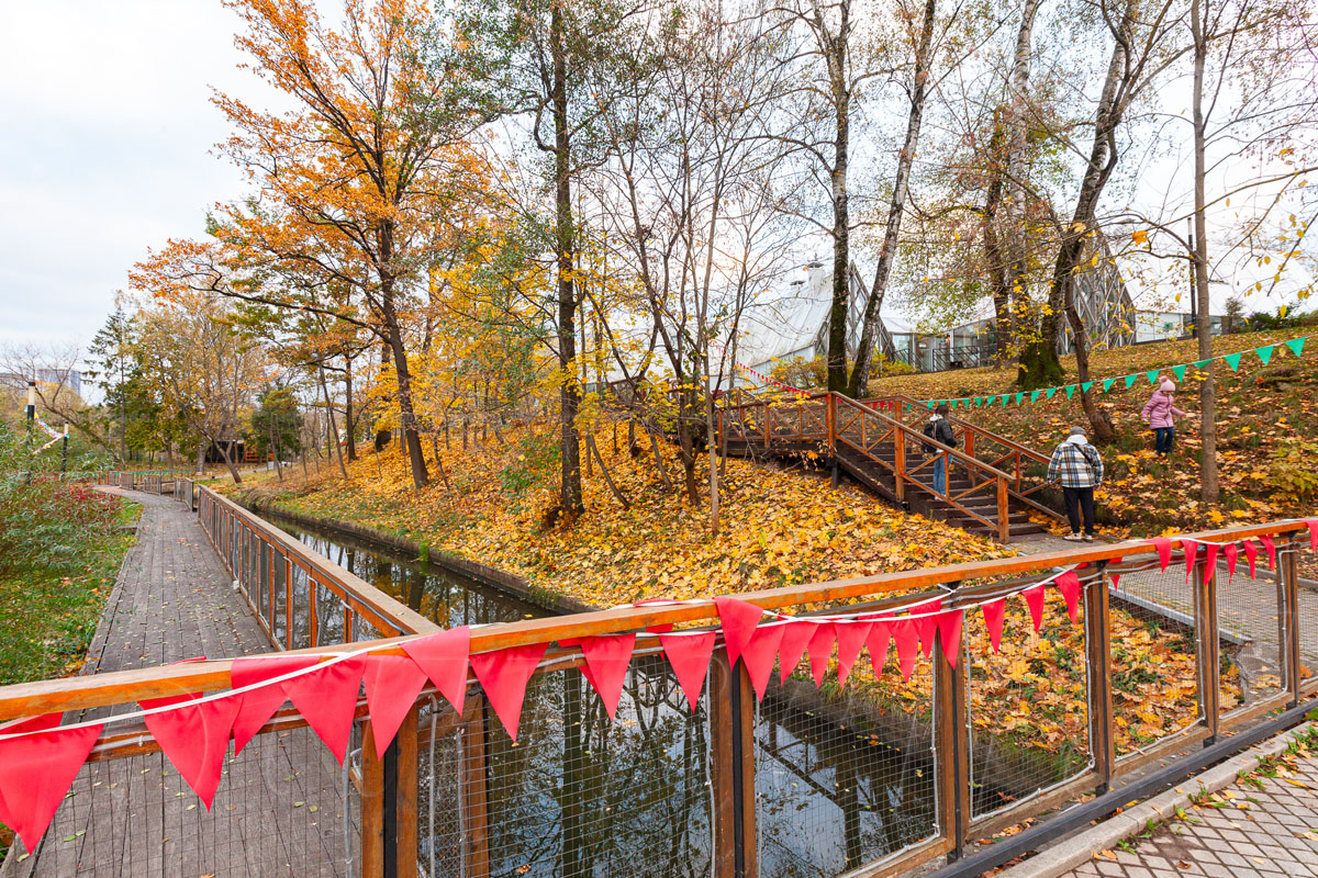 Кафе Кафе — фото 5