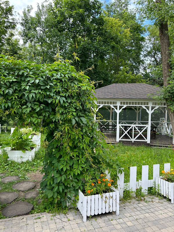 Кафе Кафе — фото 15