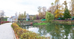 Кафе — фото 6