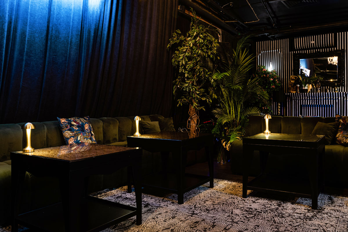 Monkey — Bla Bla Bar