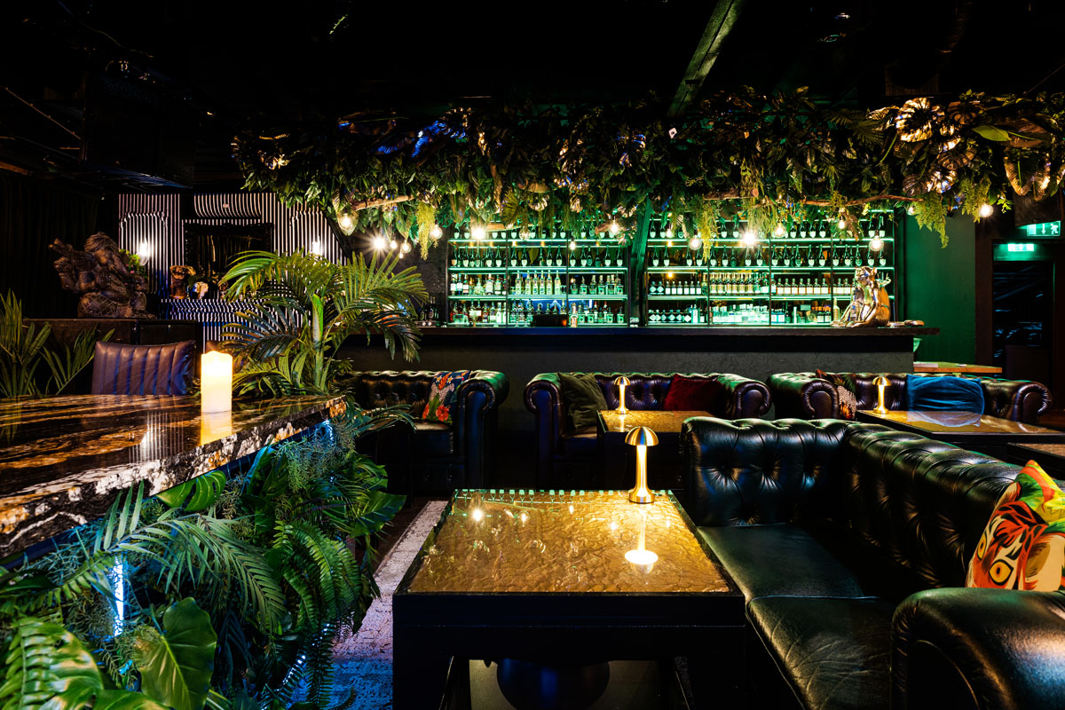 Monkey — Bla Bla Bar