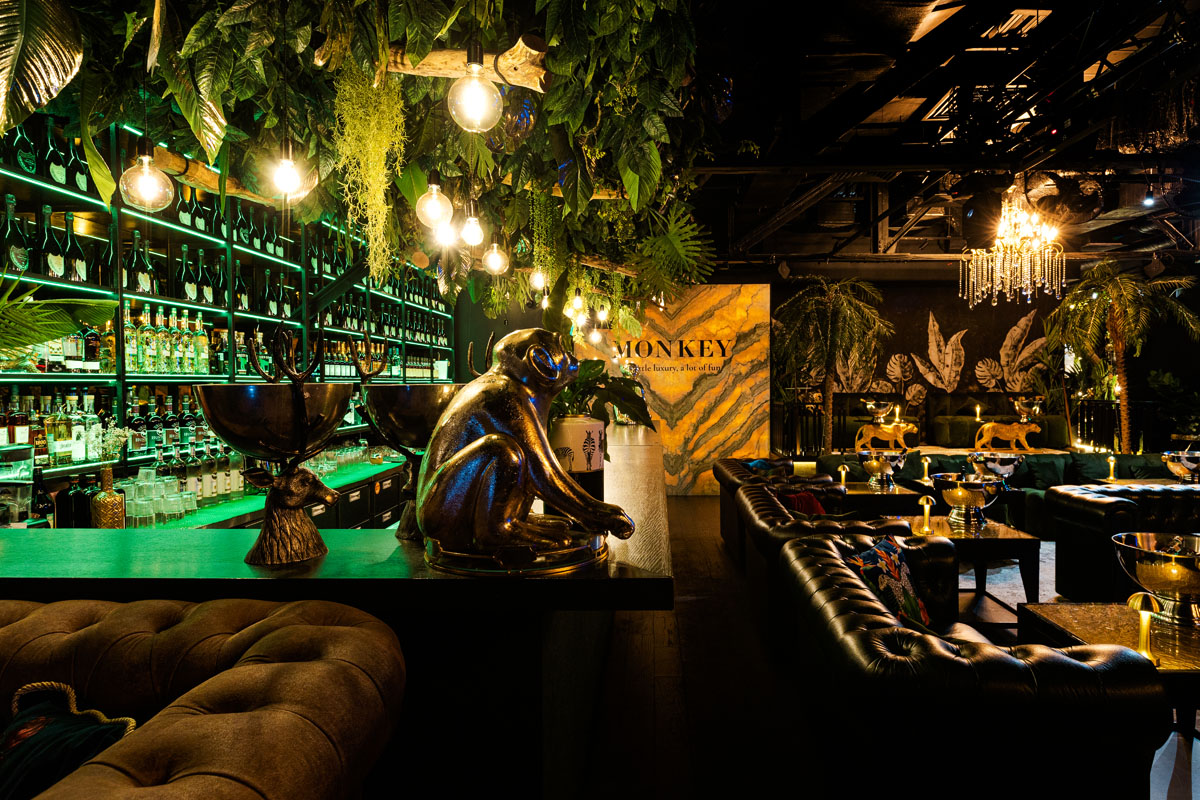 Monkey — фото 6