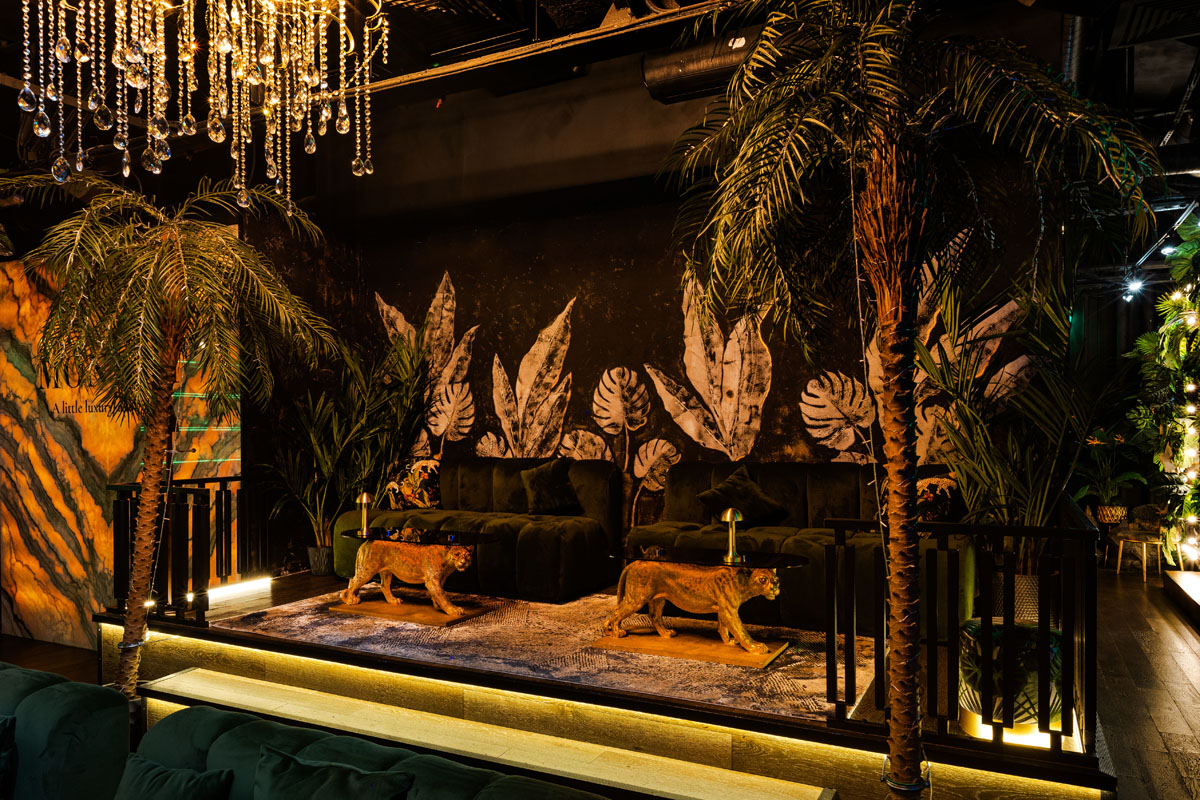 Monkey — фото 7