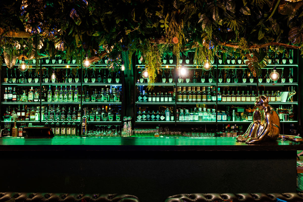 Monkey — фото 9