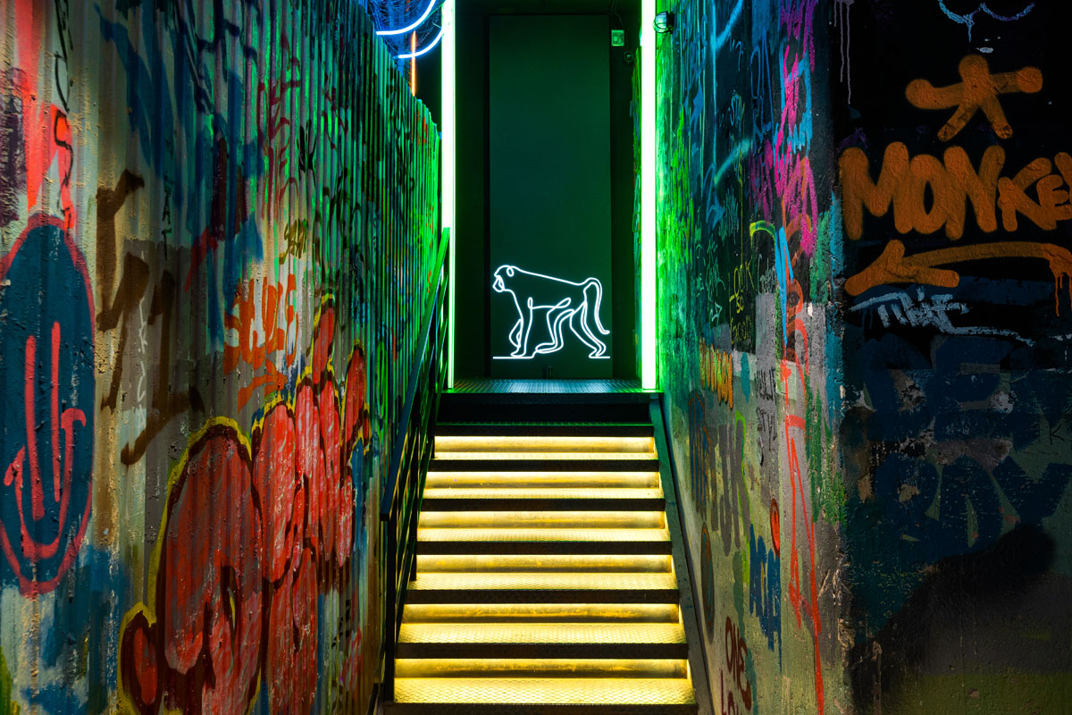 Monkey — фото 10