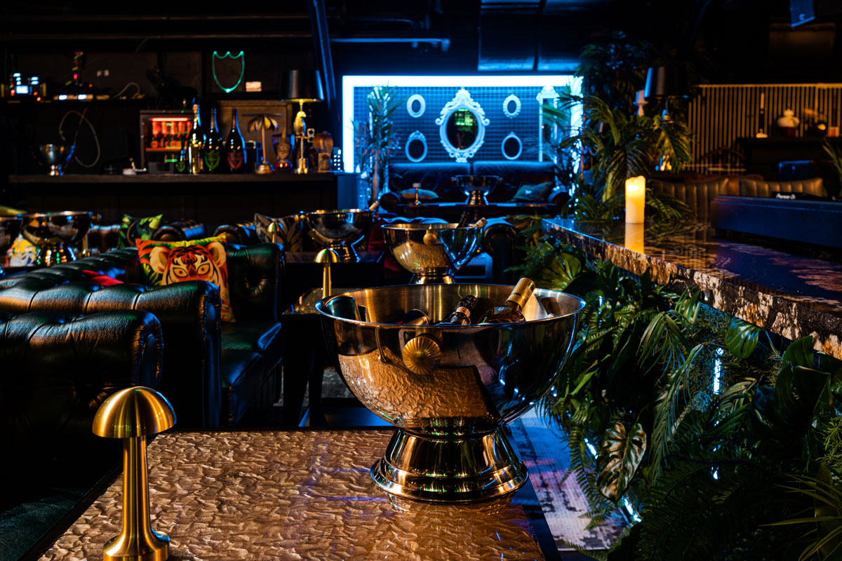 Monkey — фото 11