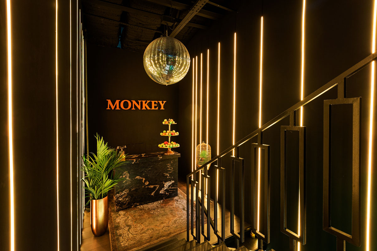 Monkey — фото 12