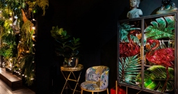 Monkey — фото 5