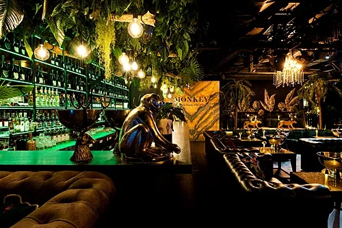 Monkey — Bla Bla Bar, Москва