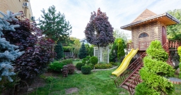 Летний (летний сезон) — фото 5